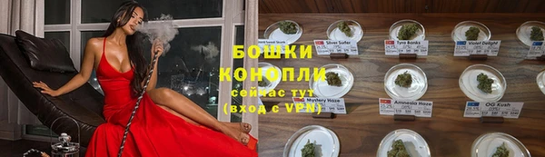 первитин Богородицк