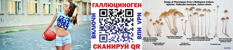 где купить   Каменск-Уральский  Псилоцибиновые грибы GOLDEN TEACHER 